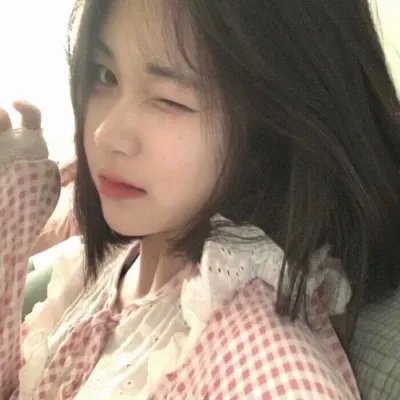 监察局长
