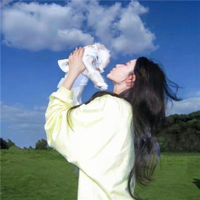 忍者神龟第五季